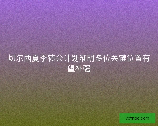 切尔西夏季转会计划渐明多位关键位置有望补强