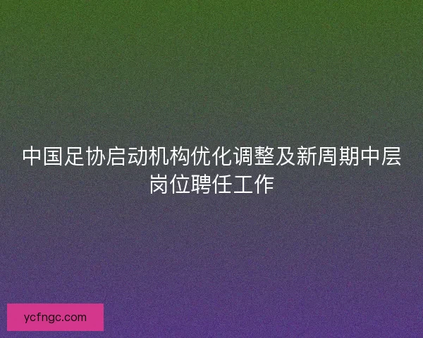 中国足协启动机构优化调整及新周期中层岗位聘任工作