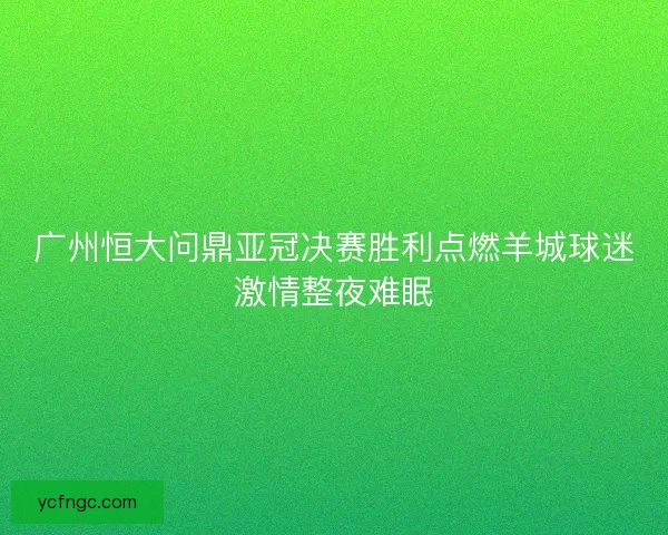 广州恒大问鼎亚冠决赛胜利点燃羊城球迷激情整夜难眠